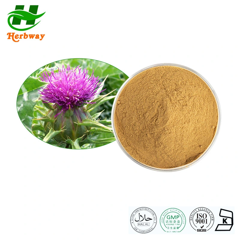 Herbway 100% من استخراج النباتات الطبيعية Kosher Halal Fsc HACCP معتمد من Silybum Marianum (L.) مستخرج Gaerth Milk Thistle