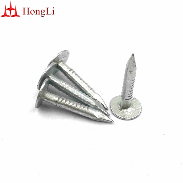 Low Price 25mm X 3 mm Flat Head Roofing Nails/Galvanized Clout Nails for Roofing/Coil Roofing Nails/Cupper Nails/Iron Nails/Galvanized Nails