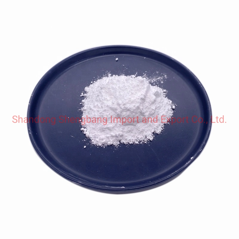 China Manufacturer Hot Sale Paints Use Titanium Dioxide CAS 13463-67-7