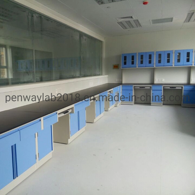 Chemical Storage Cabinet Lab Bench Laboratory Furniture