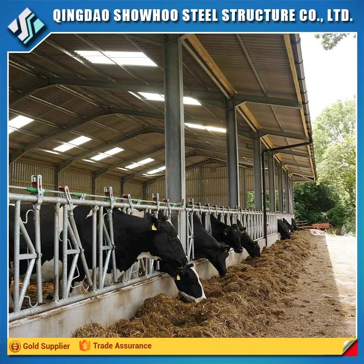 Durable and Cheap Equipments for Cow House with Factory Design
