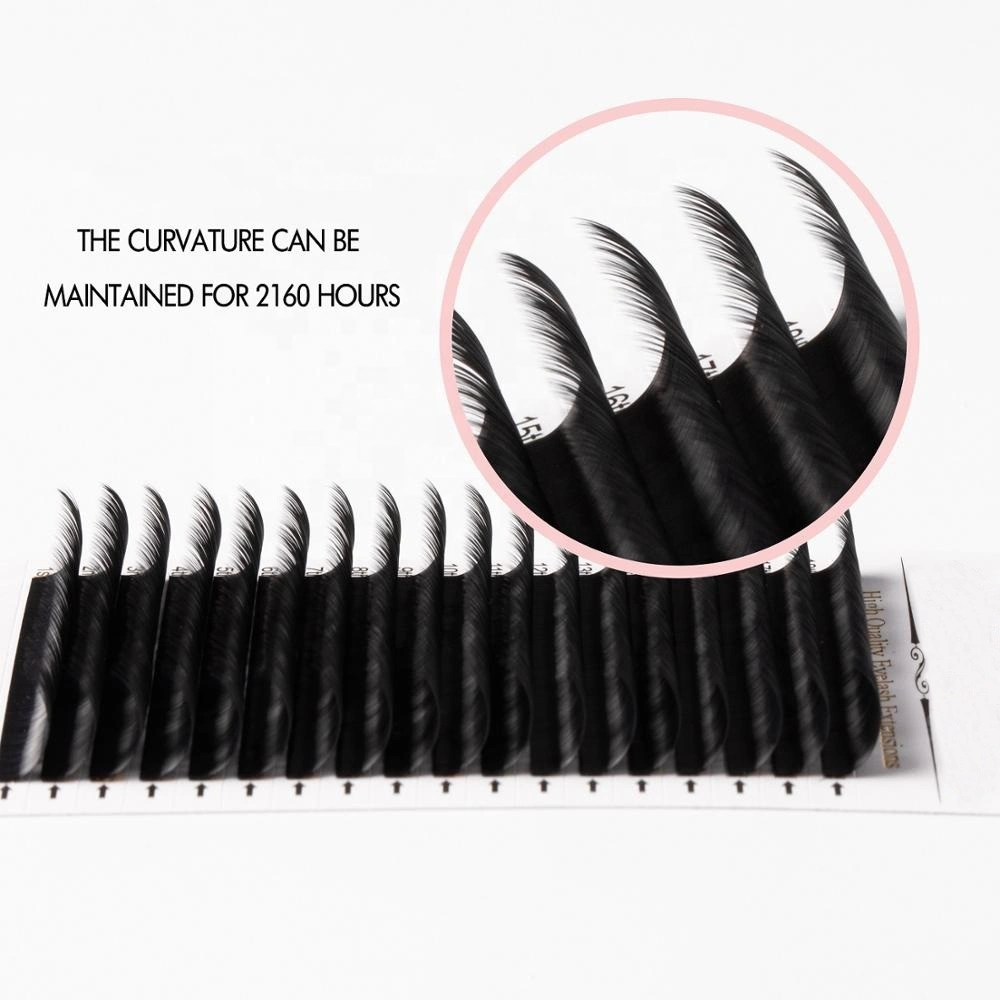 C/D Curl Lash Extensions Private Label Natural Extic Hair وصلات تمديد العين