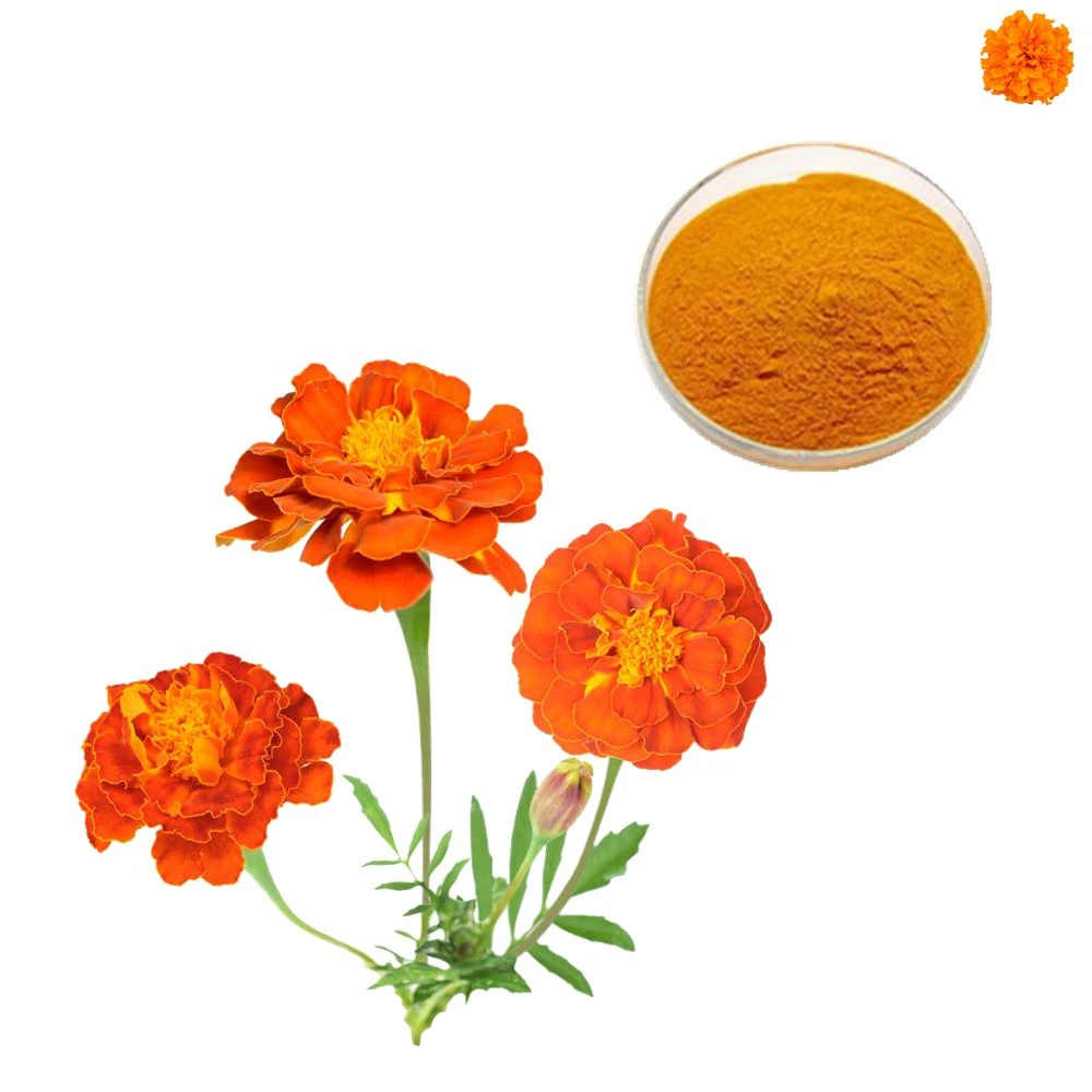 5%10% Zeaxanthin Powder Zeaxanthin for Eyes