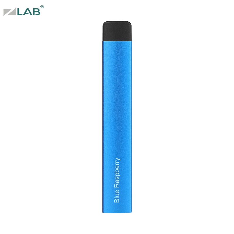 2020 New 500 Puffs Disposable/Chargeable Vape Pen OEM Blue Raspberry Flavor E Cigarette