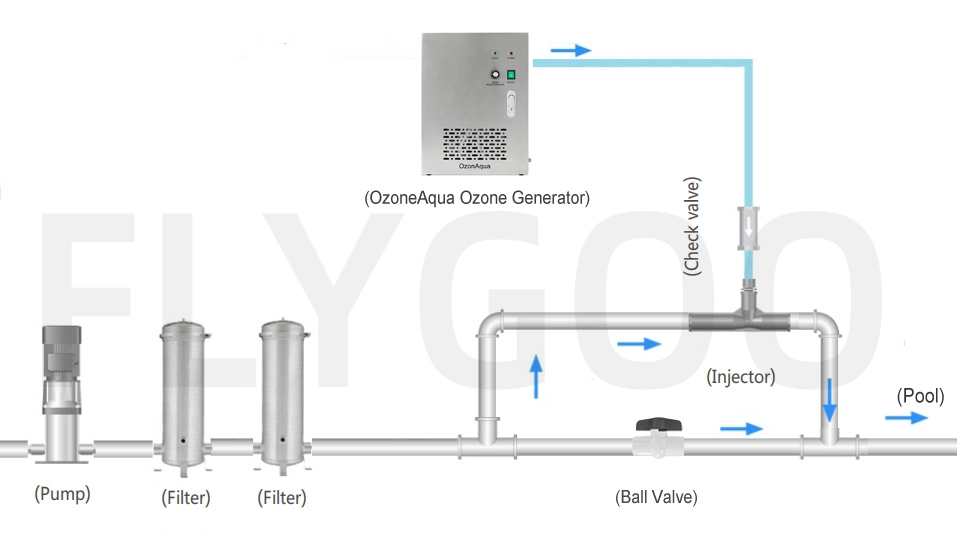 Flygoo Ozonaqua Built-in Oxygen Swimming Pool Water Purifier Ozone Generator 3G 5g