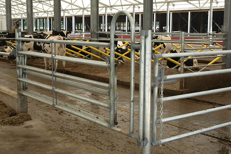 Different Size Customed Cattle Panel for Headlock Cow Freestall