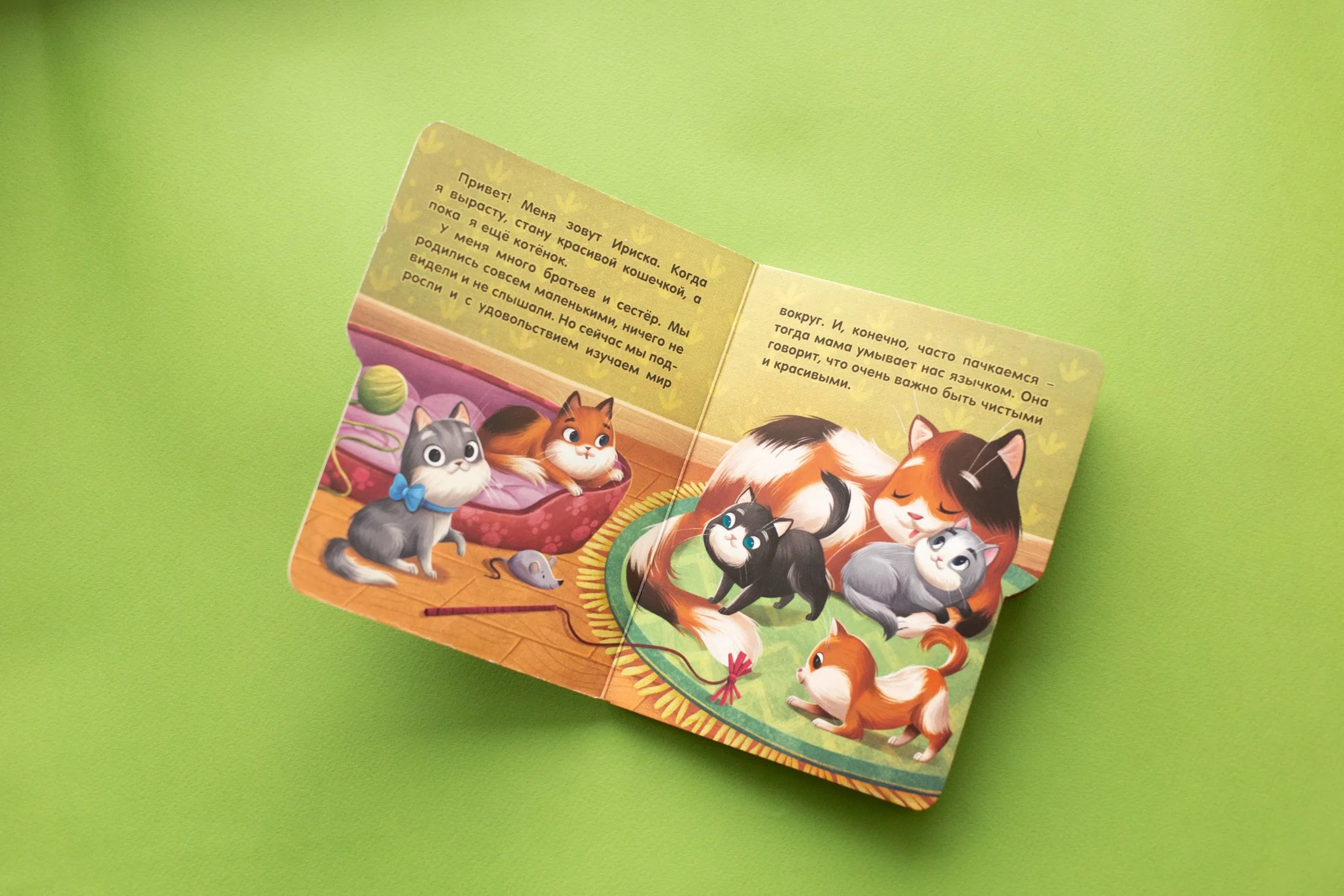 Children Book Education Wholesale/Supplier Production Printing Paper Book