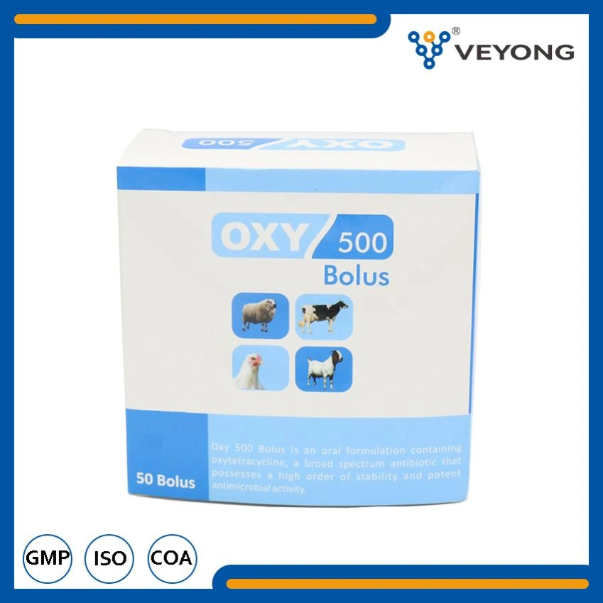 Großhandel Oxytetracycline Bolus 500mg Medikamente mit niedrigem Preis aus China Fabriken für Rinder Schafe verwendet