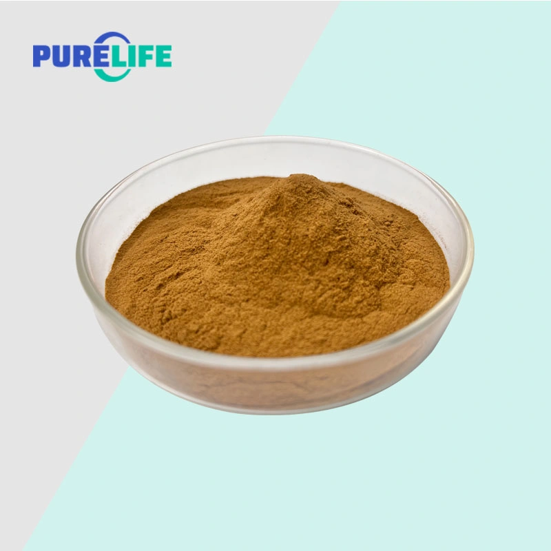 Factory Supply Chlorogenic Acid Honeysuckle Flower Extract