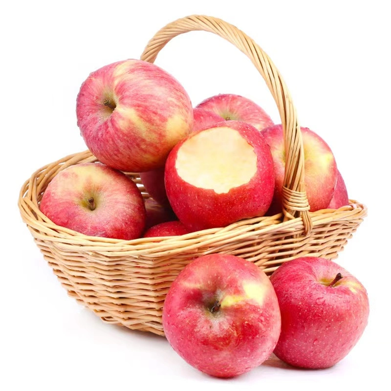 China Fresh Fruit Hot Sale Selected Quality Fresh Red Apple Corp FUJI