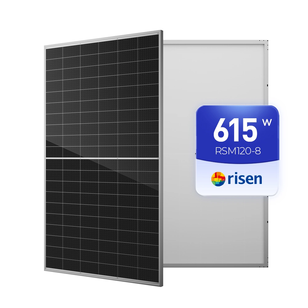 Risen Monocrystalline Silicon Solar Panels 590W 595W 600W 605W 610W 615W Mono Perc Module