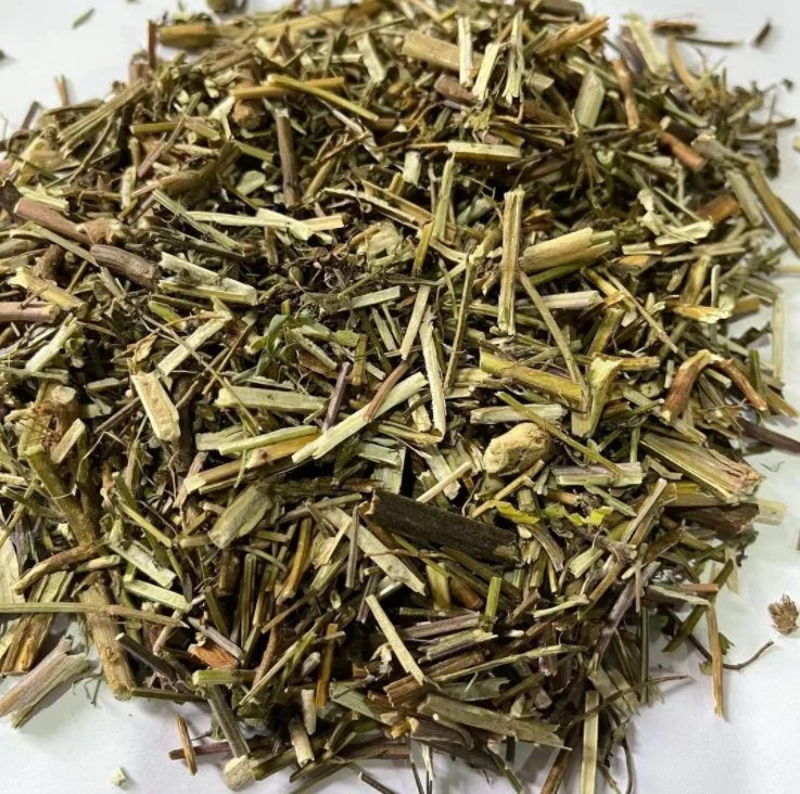 Jingjie Food Grade GMP 100% Pure Natural Herbs Herba Schizonepetae