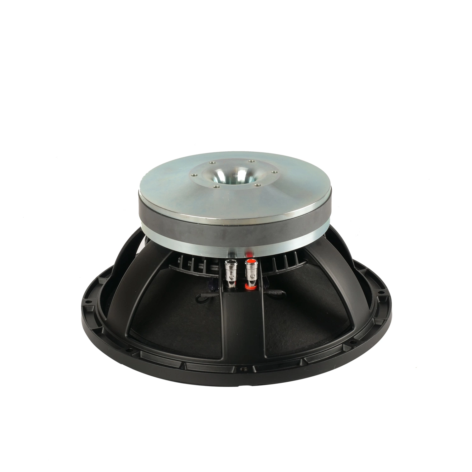 12 polegada PRO Subwoofer som Altifalantes Subwoofer melhores dj oradores