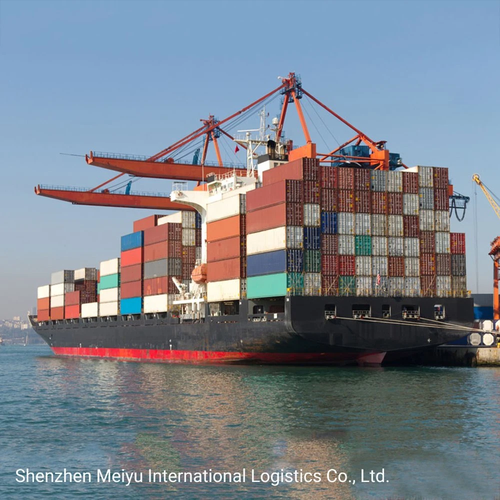 First-Class Sea Shipping Freight Carrier Ocean Logistics From China to All Over The World