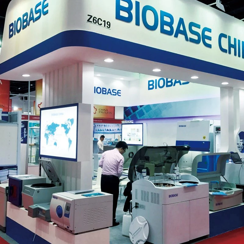 Biobase China Digital Display Vertical Hot Air Lab Vacuum Drying Oven Stainless Steel Vacuum Drying Oven