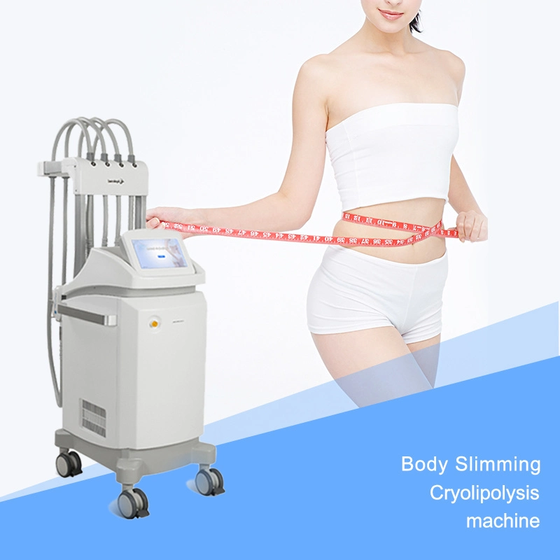 Потеря веса новой технологии Cryolipolysis Похудение Lipo лазер для коммерческих