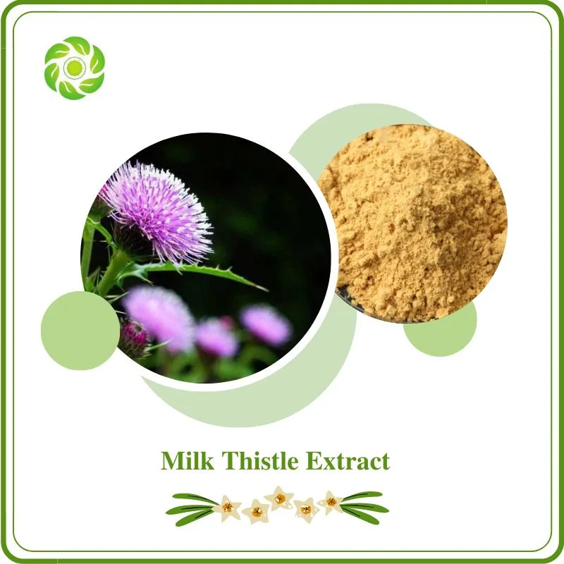 Danshen Root Extract Citrus Aurantium Extract Magnolia Bark Extract White Willow Bark Extract Silymarin5%-80%Silybin80%-98%Milk Thistle Extract