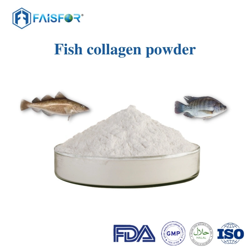 Wild-Caught Fish Collagen Powder for Enhanced Health and Wellness