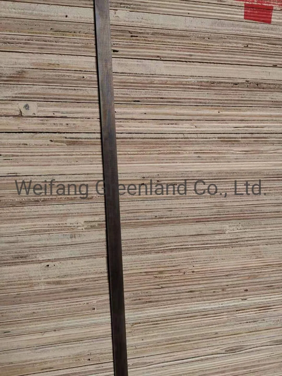 Poplar Wood, Hardwood, Packing Grade Plywood with Various Sizes and Thickness