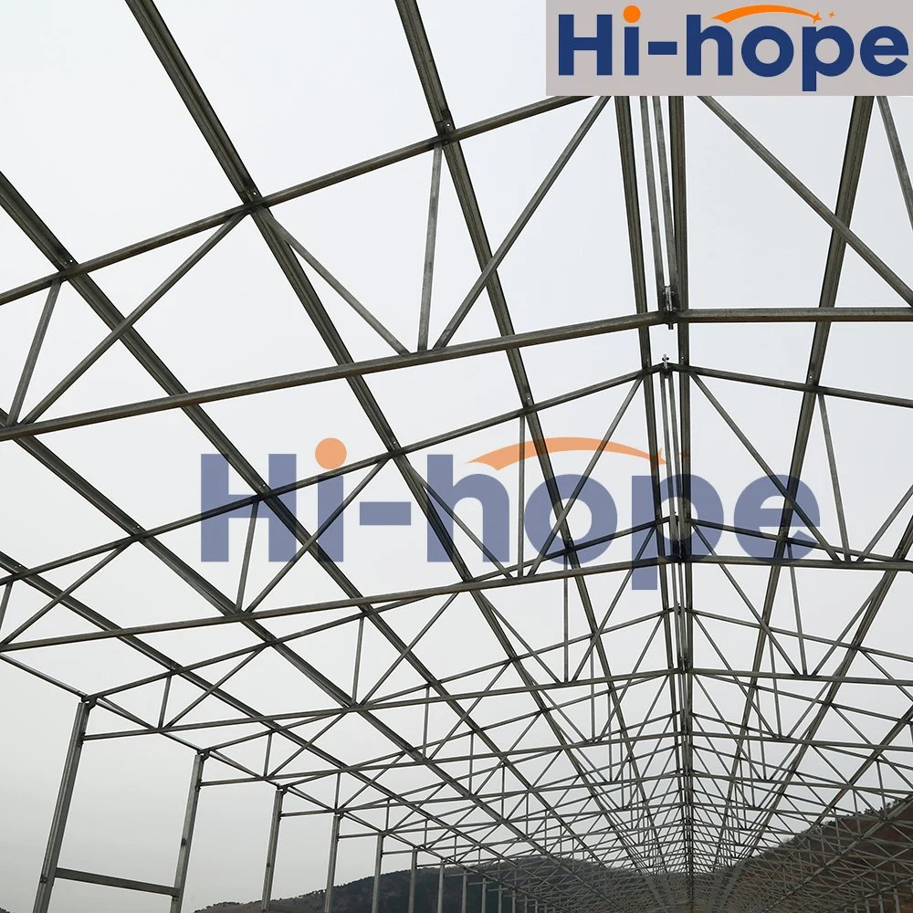 Designed Factory Price Chicken Shed Light Steel Building for Poultry Farming