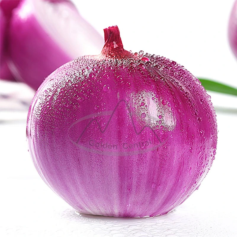 سعر الجملة 100 ٪ الأحمر الطبيعي Onion لسوق فيتنام