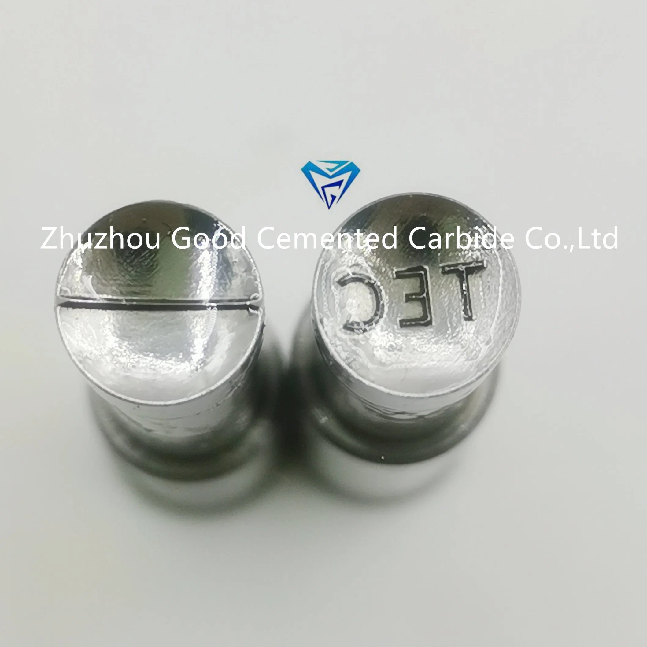 Tec Round Pill Mold High quality/High cost performance 3D Rectangle Gg249 Pattern Sugar Stamp Candy Press Punch Die Set for Tdp0/ Tdp 1.5 or Tdp5 Tdp6 Molds Machine Moulds Stamp Dies