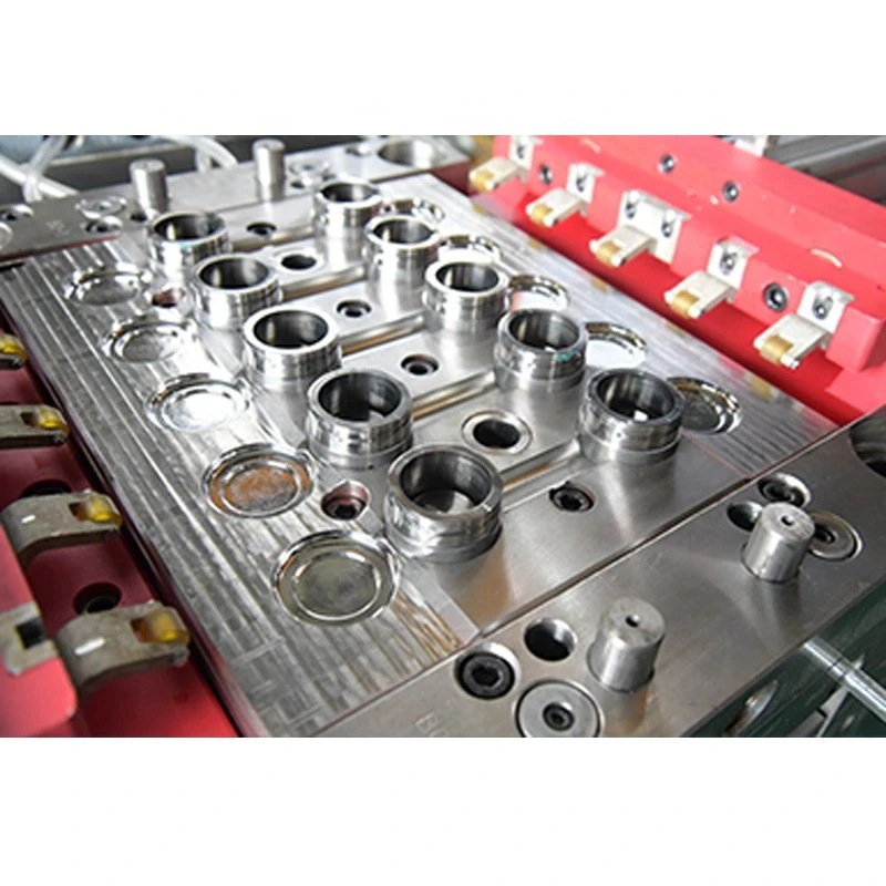 Professional Plastic Bottle Cap Injection Mold Manufacturer