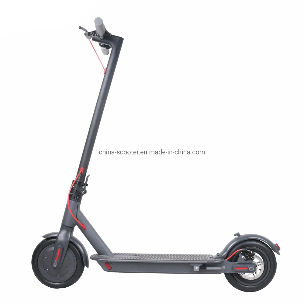 2 Räder Mobility Scooter E-Bike mit intelligenter Fernbedienung (MES-004)