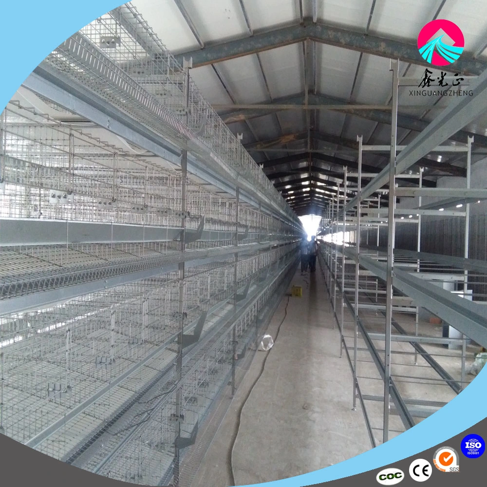 H / a Type Galvanized Mesh Layer Egg Hens Broiler Pullet Chicks Breeder Chicken Cage