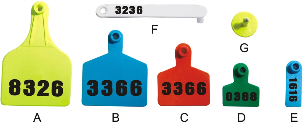 Insured Ear Tag with Laser Printing Number (KD504)