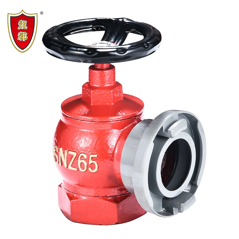 DN65 2.5'' Ductile Iron Rotary Body Indoor Fire Hydrant Valve with Removable Coupling