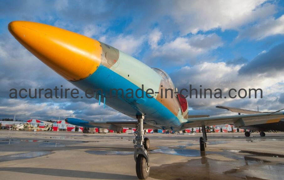 Capacitación a pequeños Avion volar los neumáticos de aire/neumático