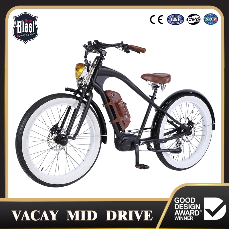 Coastal Style E-Bike for Fun, European CE/En15194 Certificate Ebike, 36V Lithium Battery
