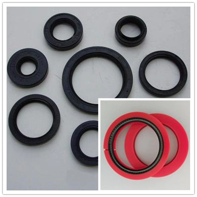 Double Lip Brand Automatic Semi-Automatic Washing Machine Oil Seal