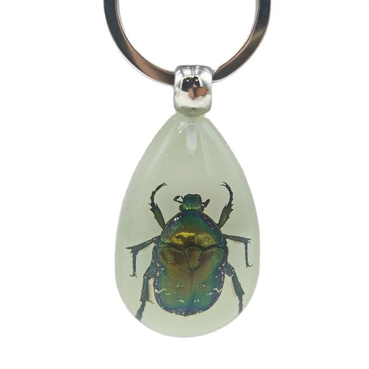 Wholesale Amber Keychain Pendant Gift Real Insect Keychain