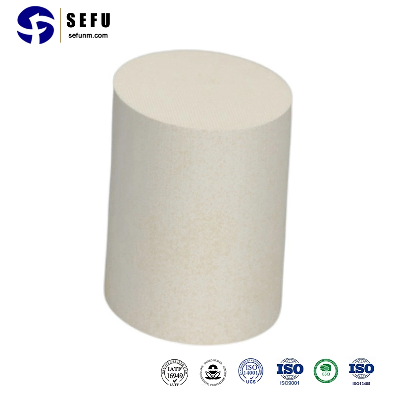 Sefu Sic Keramik Schaumfilter China Auto Motor Konverter Hersteller Universal Catalytic Converter Preise Drei-Wege Catalytic Catalyst Carrier