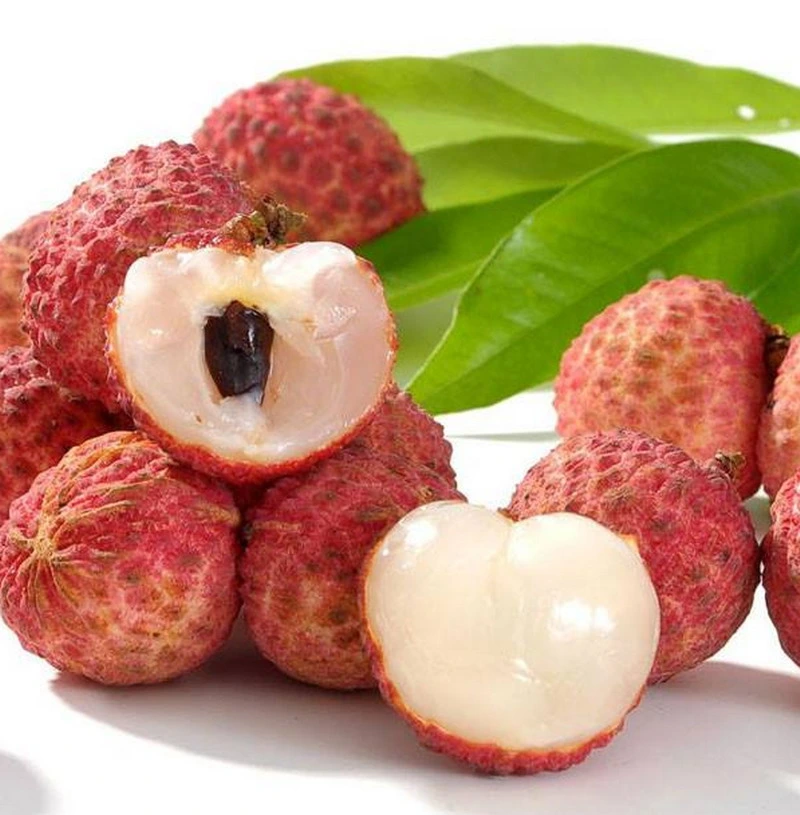 China Cheap Price Hot Selling Canned Fruit Lychee in Light Syrup