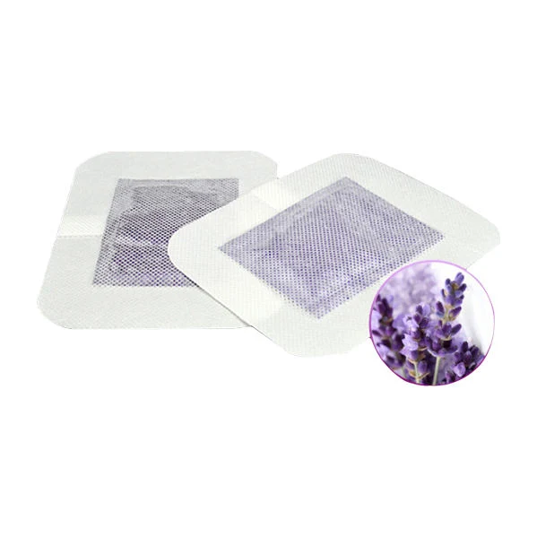 2 en 1 Green Tea Dehumidification Health Broadcast Foot Patch Desintoxicación