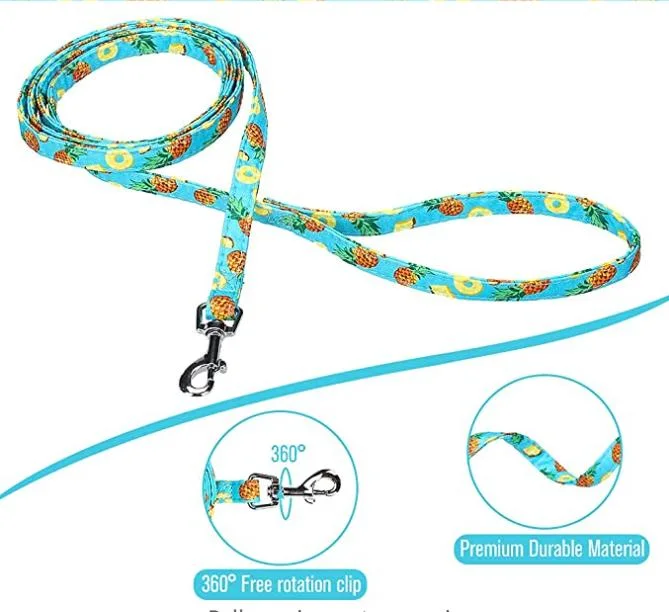 La alta calidad fácil de llevar mascota Ropa de verano 3 en 1 cables perro