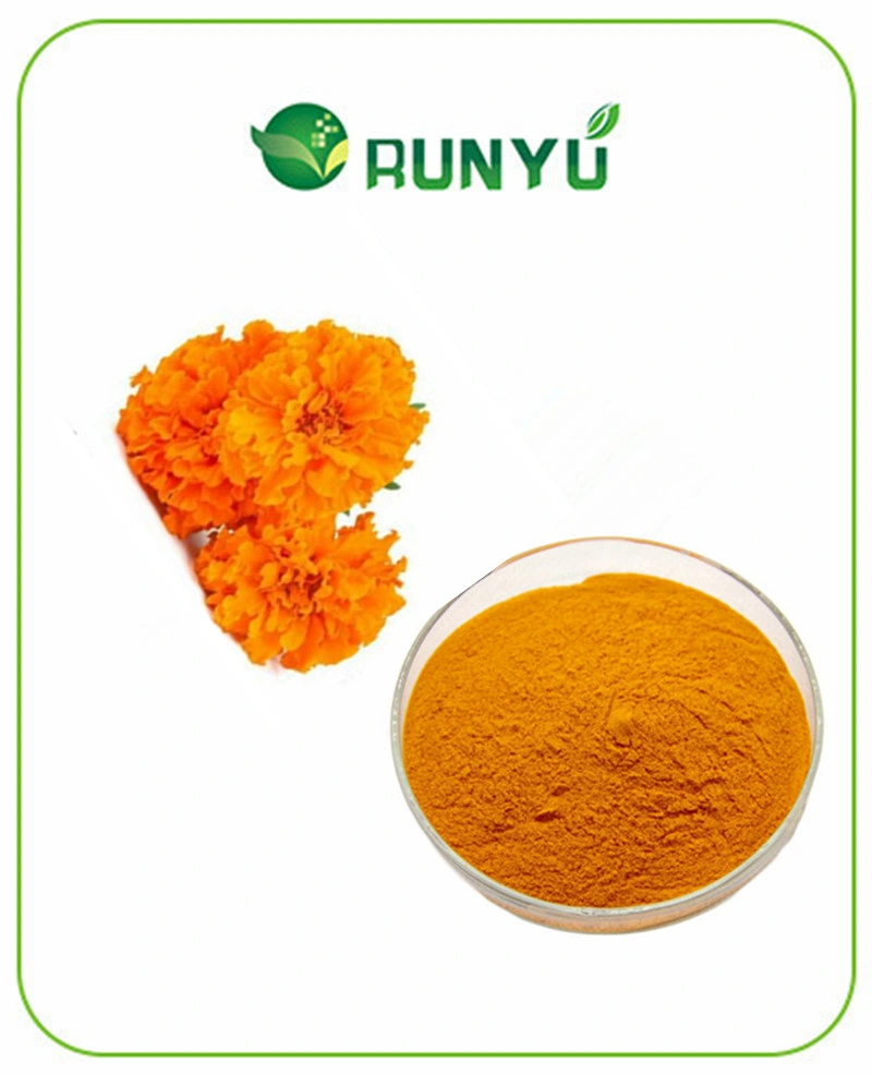 Дополнение Marigold Flower Extract Zeaxanthin порошок