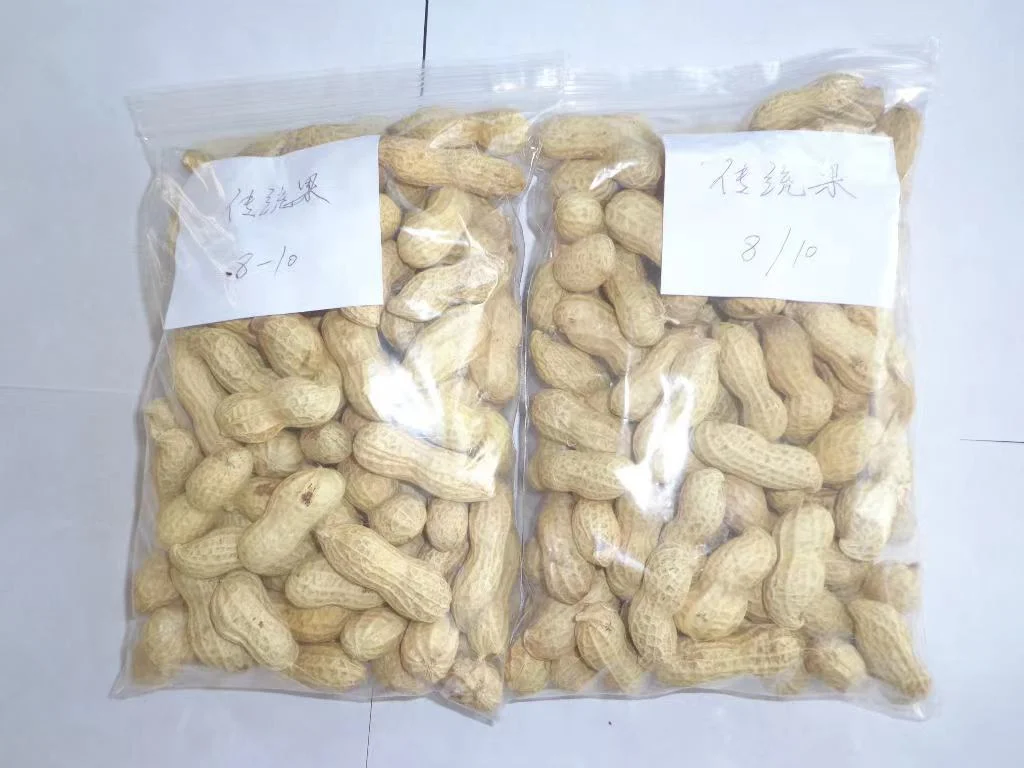 Top Quality Health Food Raw Groundnut in Shell