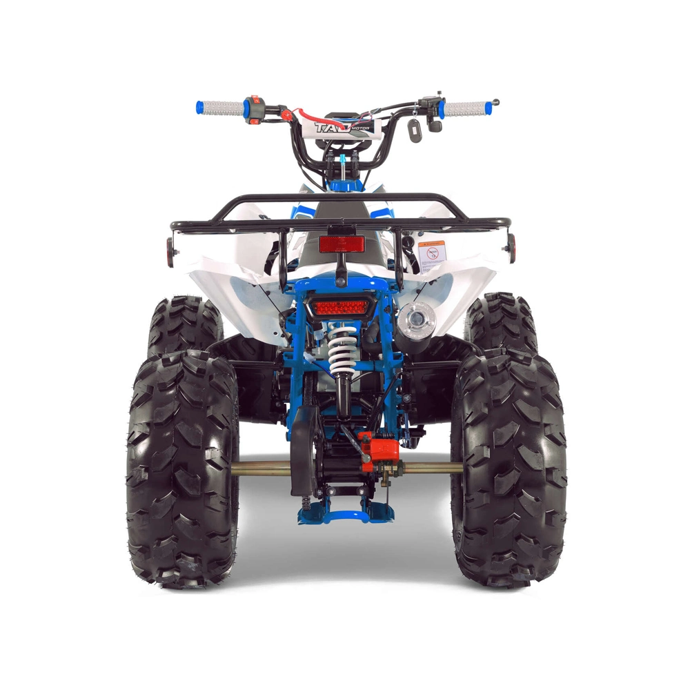 2023 Nueva moto Buggy ATV Quad 110cc 125cc ATV