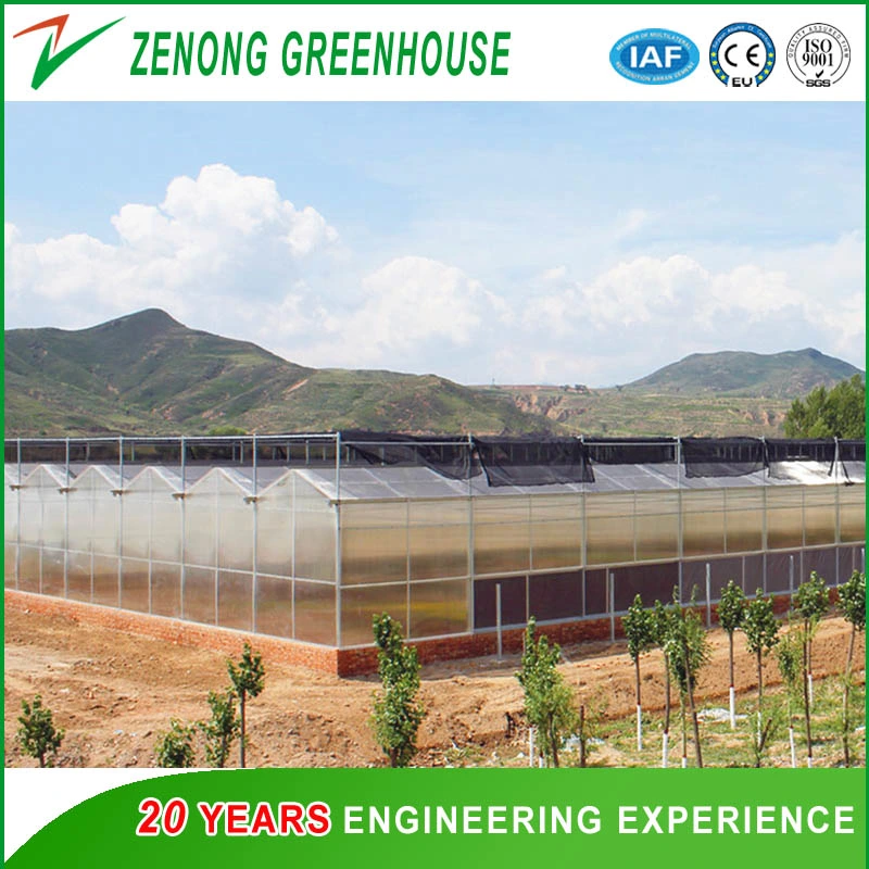 Sunlight Greenhouse with Intelligent Device for Modern Agriculture Seed Breeding Cultivation