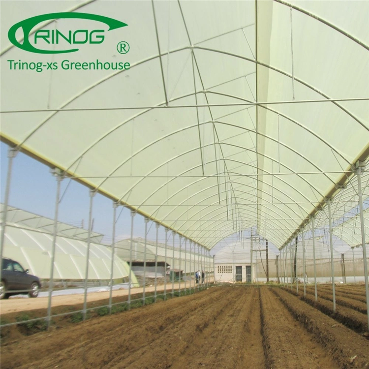 2020 Original Factory Multi-span Film Greenhouse