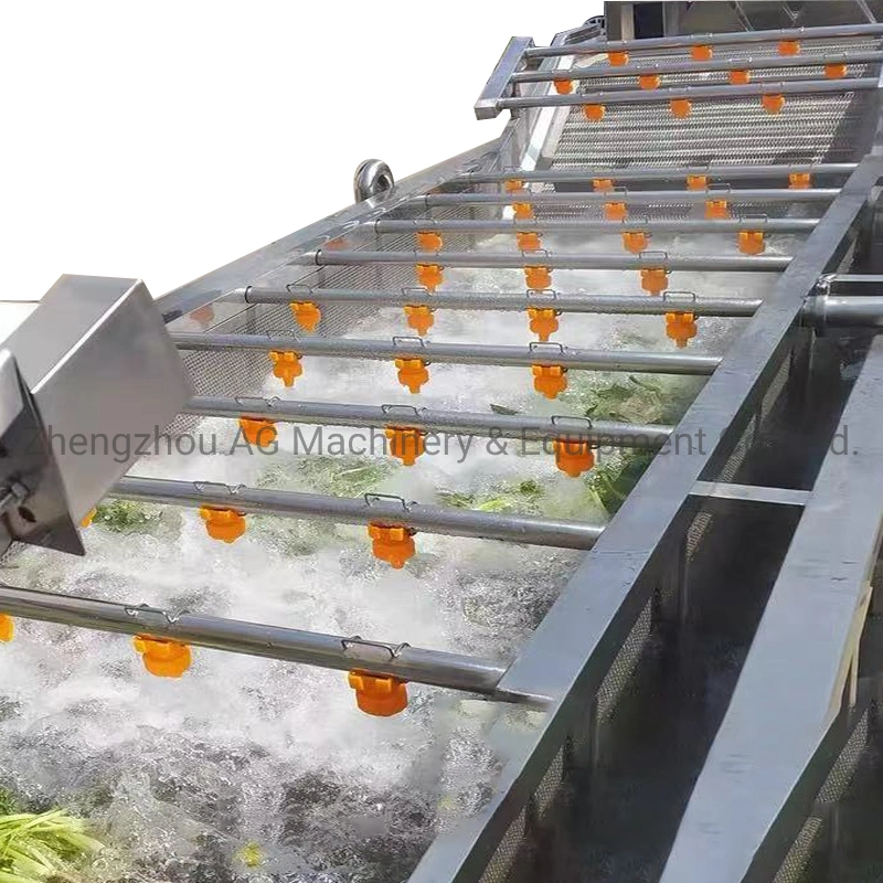 Commercial Bubble Cleaning Vegetable and Fruit Washing Machine