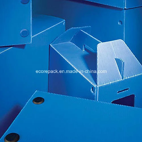 PP Hollow Board Corrugated PP Sheet for Protection Printing and Packaging