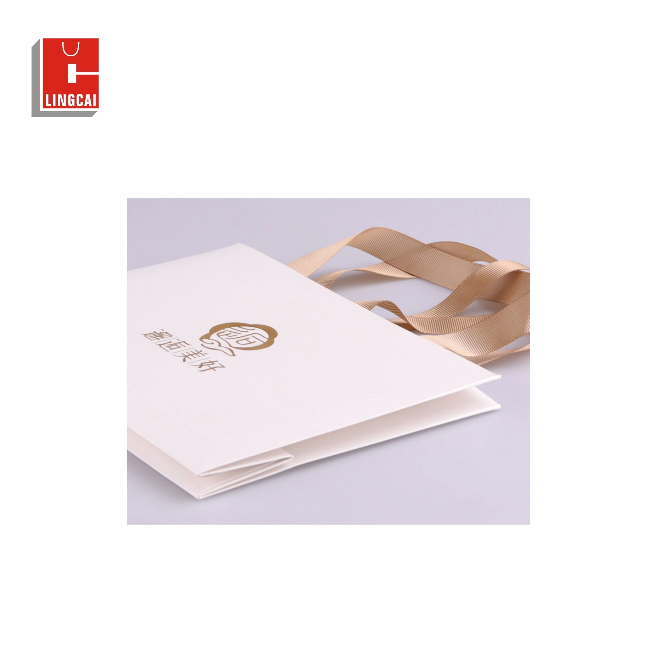 Wholesale/Supplier Printed Colorful Paper Packaging Luxury Shopping Gift Bag with Logo for Clothing