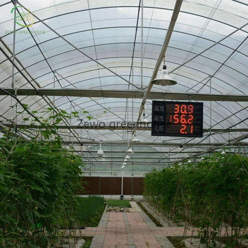Industrial Greenhouse Pipe Agricultural Single Span Tunnel Film Polycarbonate Greenhouse