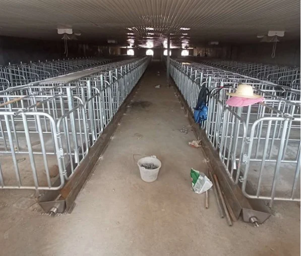 Livestock Farm Equipment Pig Crate Gestation Stall