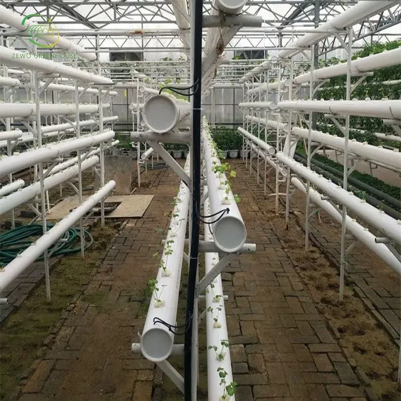 Vertical Type Complete Hydroponics Growing System for Soiless Agriculture Vegetable/Fruit